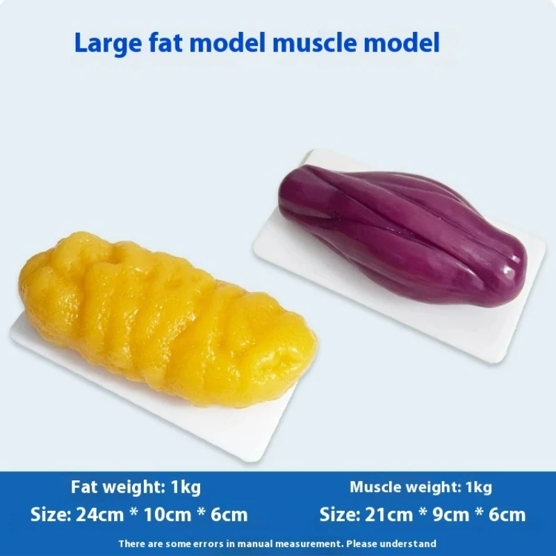 Répliques de Muscles et Graiss - Nutrition Of Fitness avis et prix