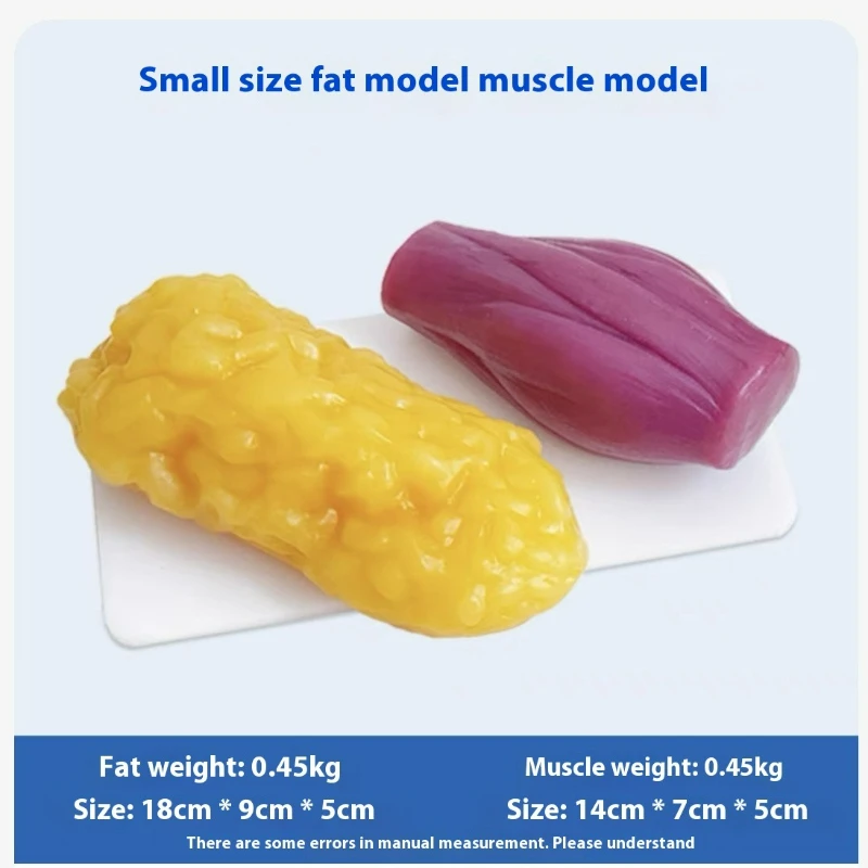Répliques de Muscles et Graiss - Nutrition Of Fitness avis et prix